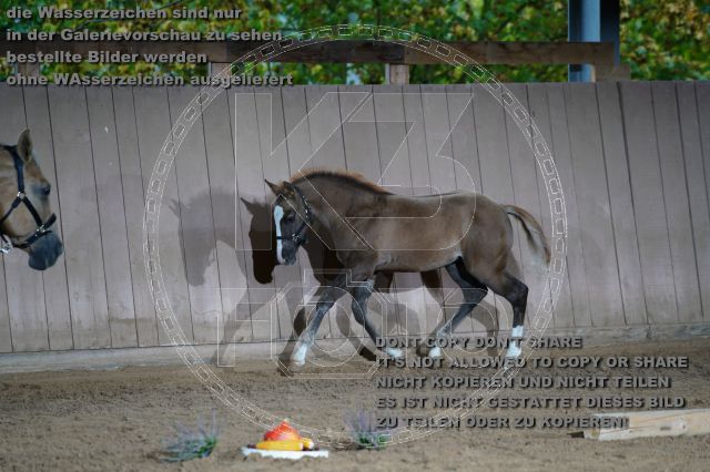 s_K3F04766.JPG